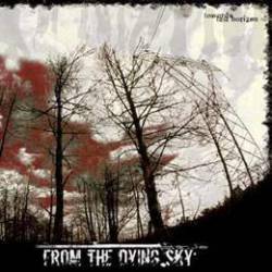 From The Dying Sky : Towards Last Horizon